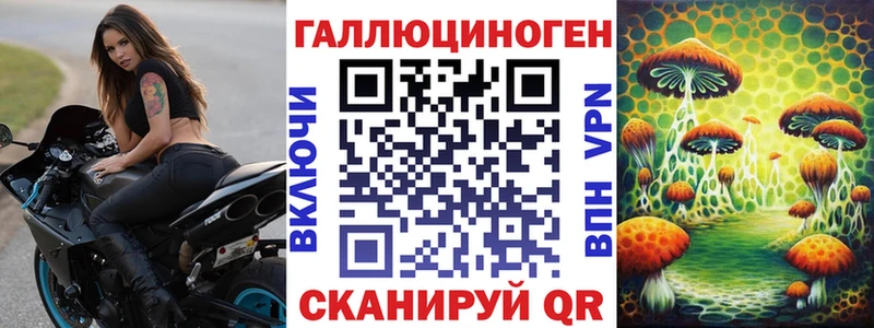 Купить где  Кисловодск  Галлюциногенные грибы мицелий 